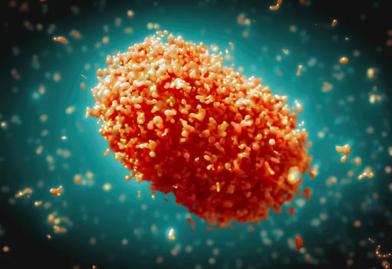 viruela_simica_virus