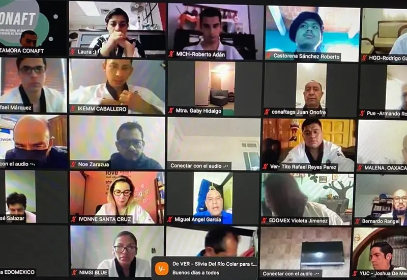 Videoconferencia