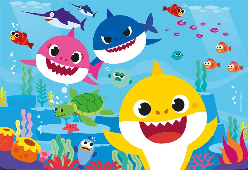baby shark 