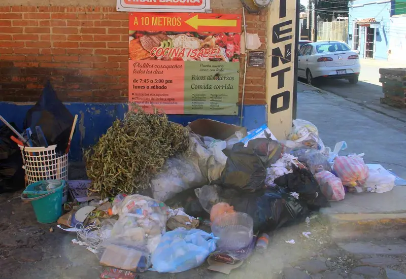 basura oaxaca 