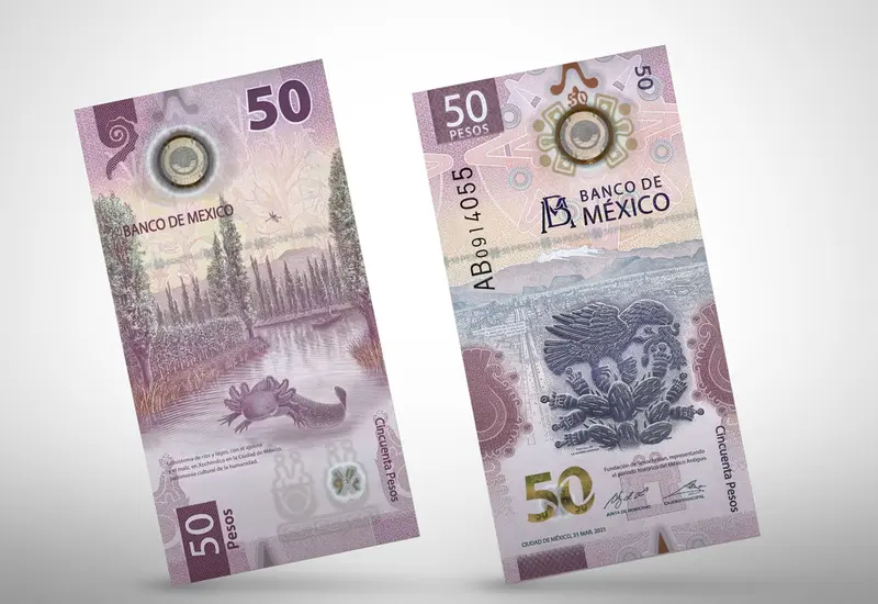 Nuevos billetes de 50 pesos