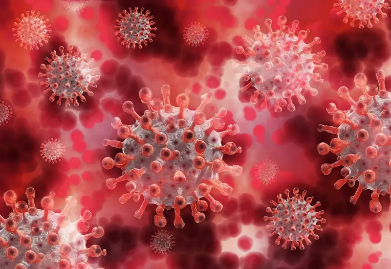 Una coinfección de COVID 19 y gripe puede agravar o empeorar los síntomas por completo.