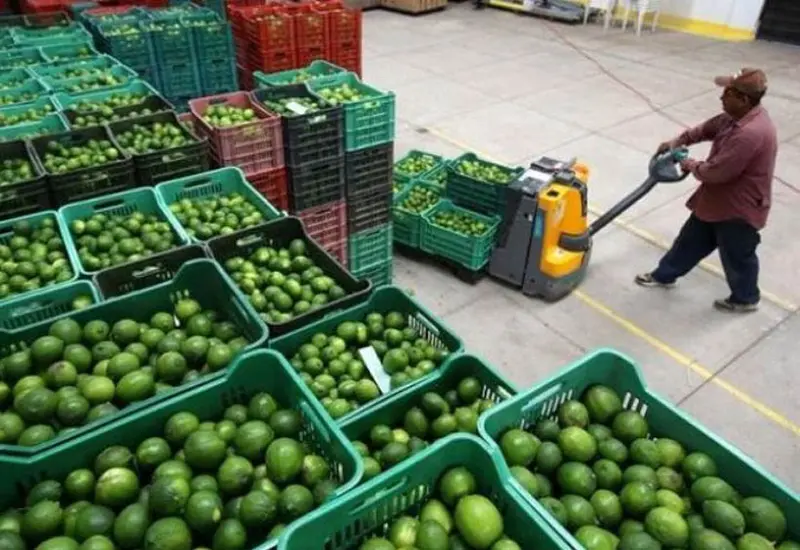 Limones 