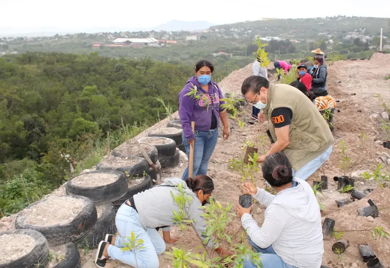 gente-plantando