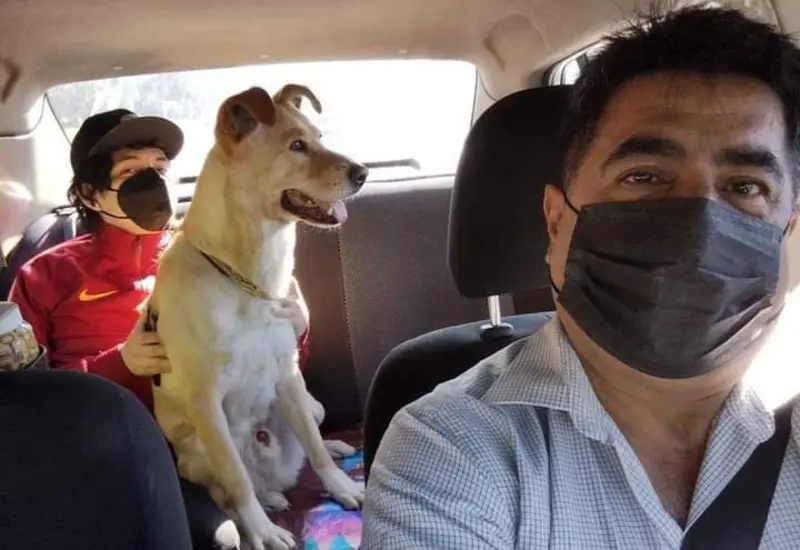 En la publicación se puede observar el taxi mientras transporta a varios clientes con sus mascotas.