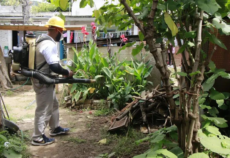 fumigación-en-jardin