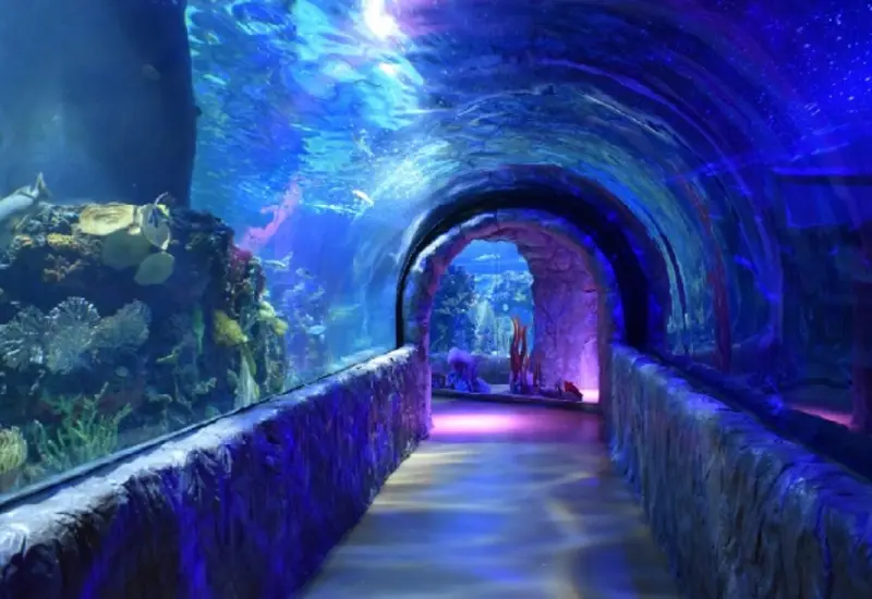 acuario-de-mexico