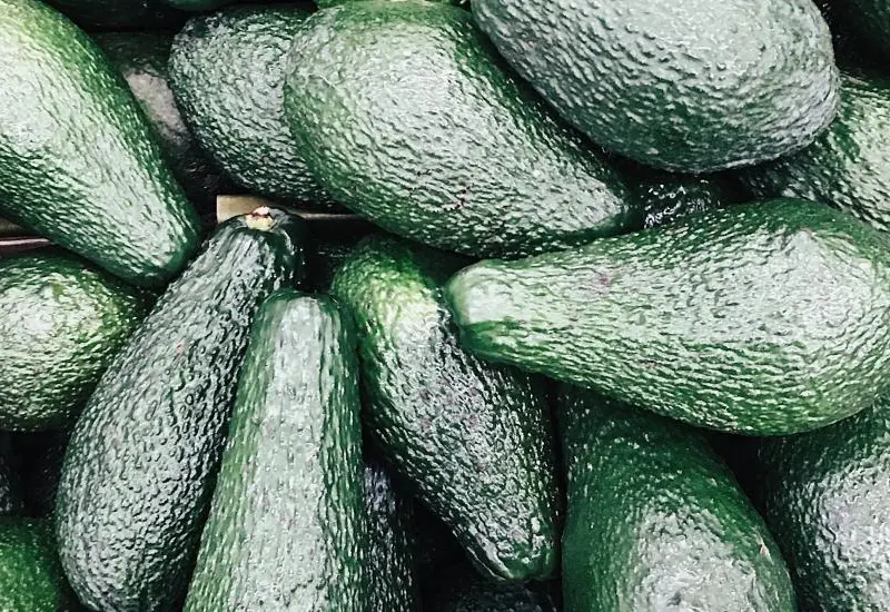 monton-de-aguacates 