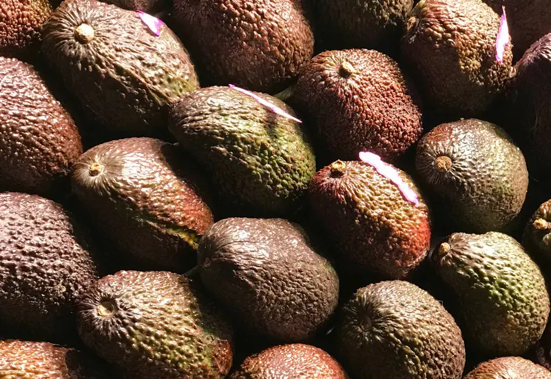 monton-de-aguacates 