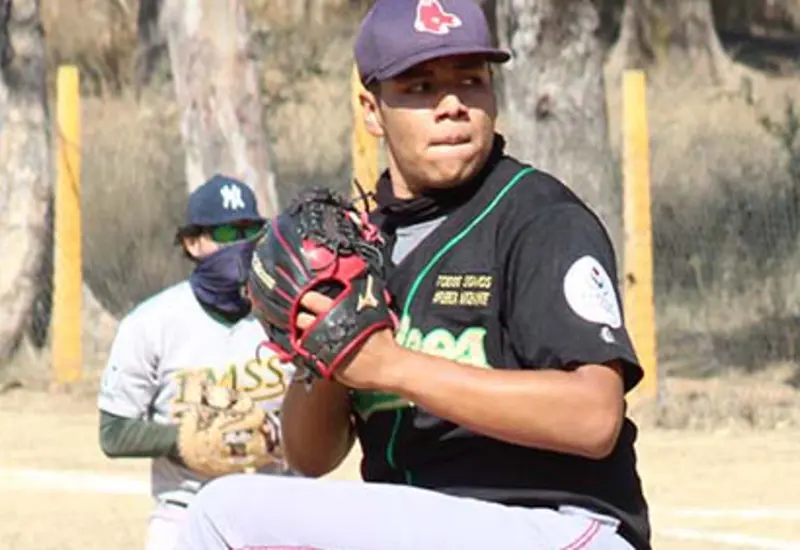 beisbol-liga