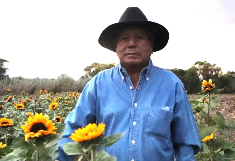campesino-y-girasoles