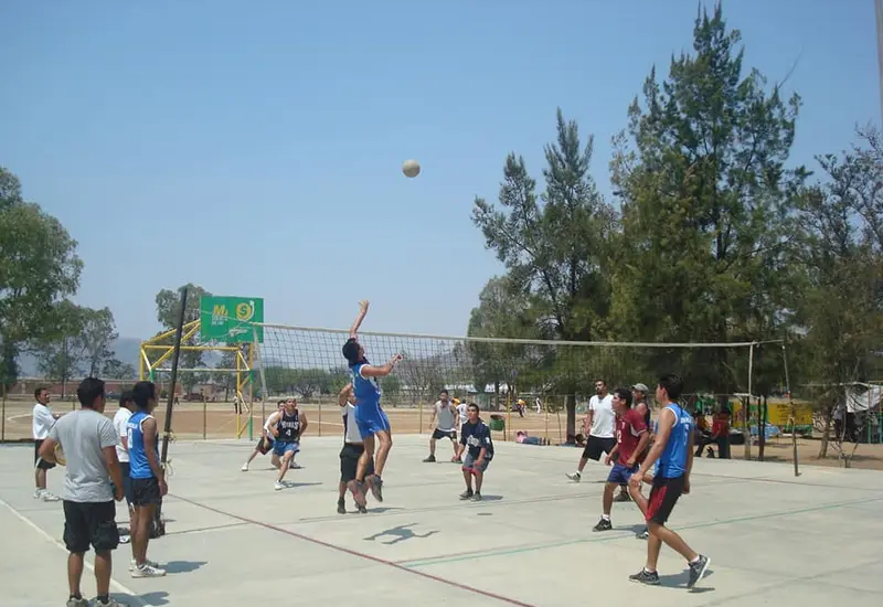 torneo-de-voleibol