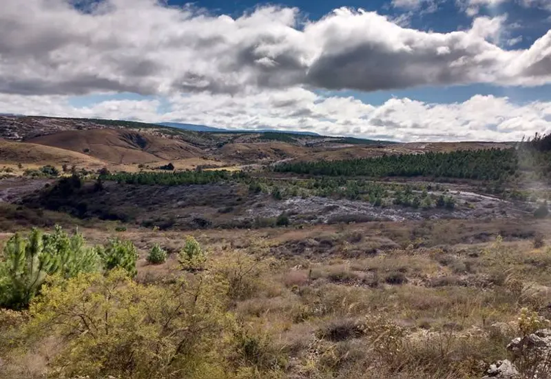 monte-en-la-mixteca