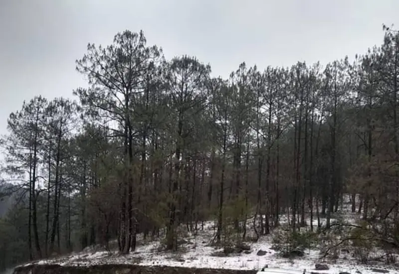 mixteca-bajo-la-nieve