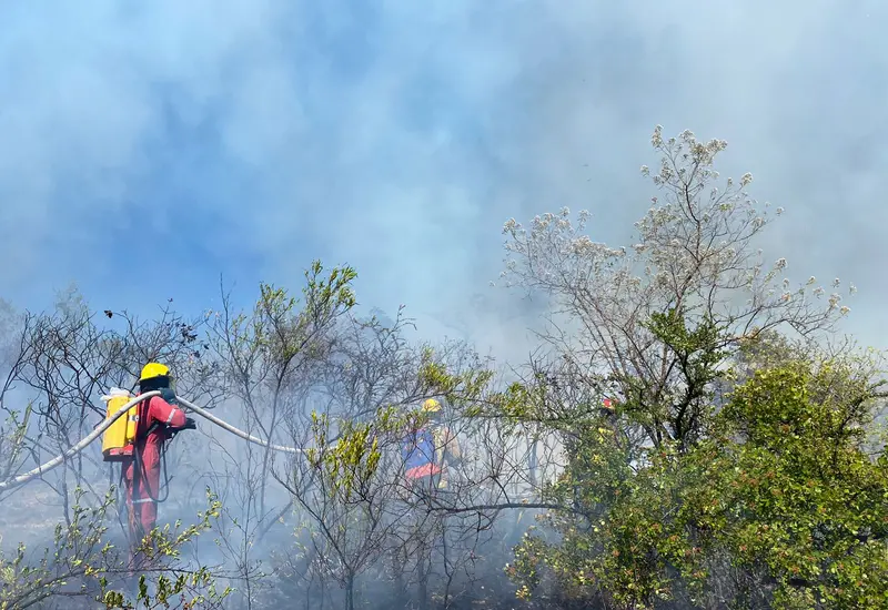 incendio-forestal