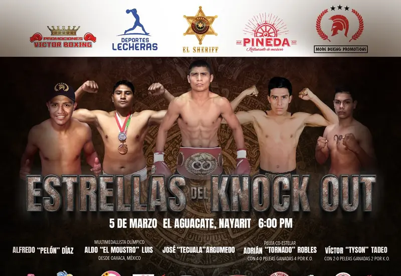boxeadores-estrellas-del-knock-out