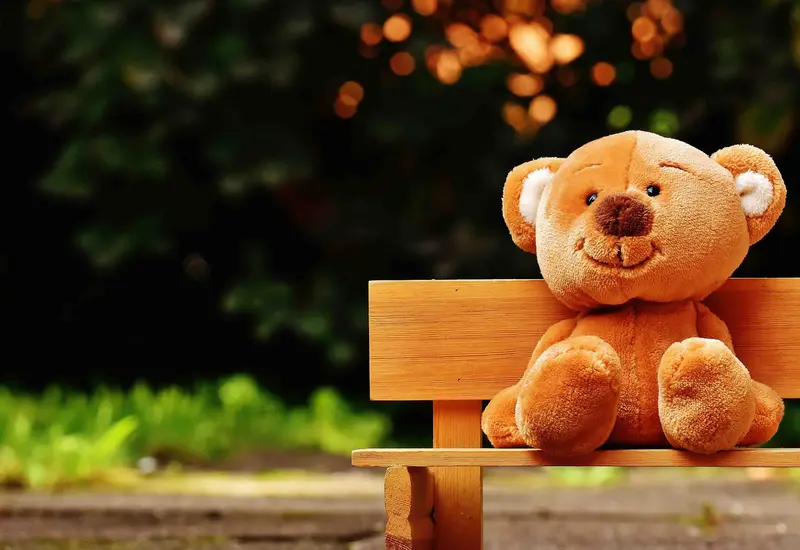oso-de-peluche 