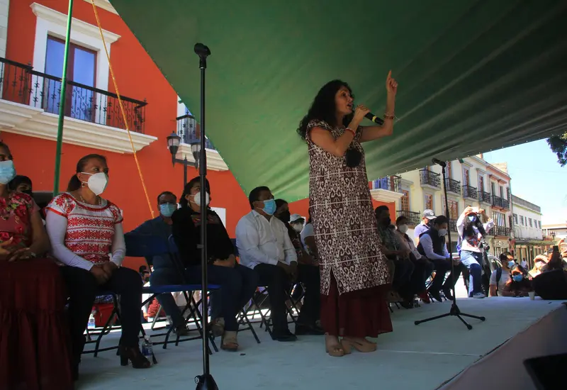 susana-harp-reforma-eléctrica 