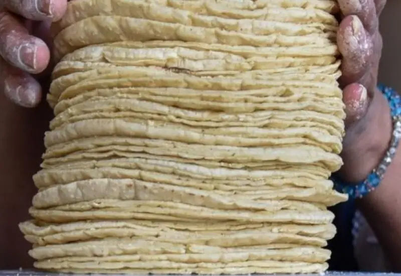 subiría_precio_de_tortillas