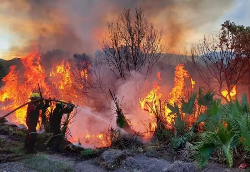 incendio