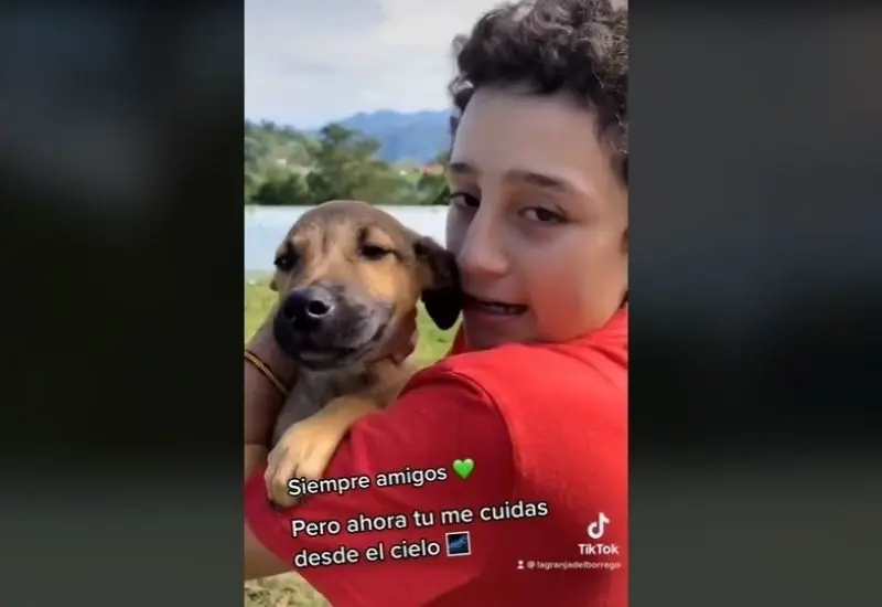 se-despide-de-su-perrito-envenenado