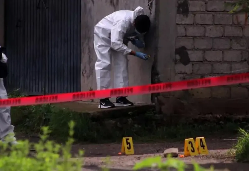 investigación