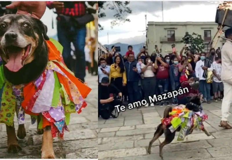 mazapan