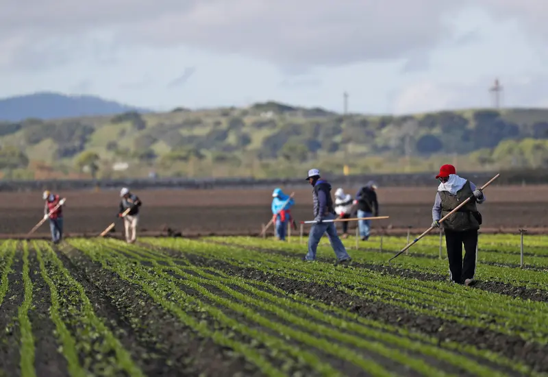 migrantes