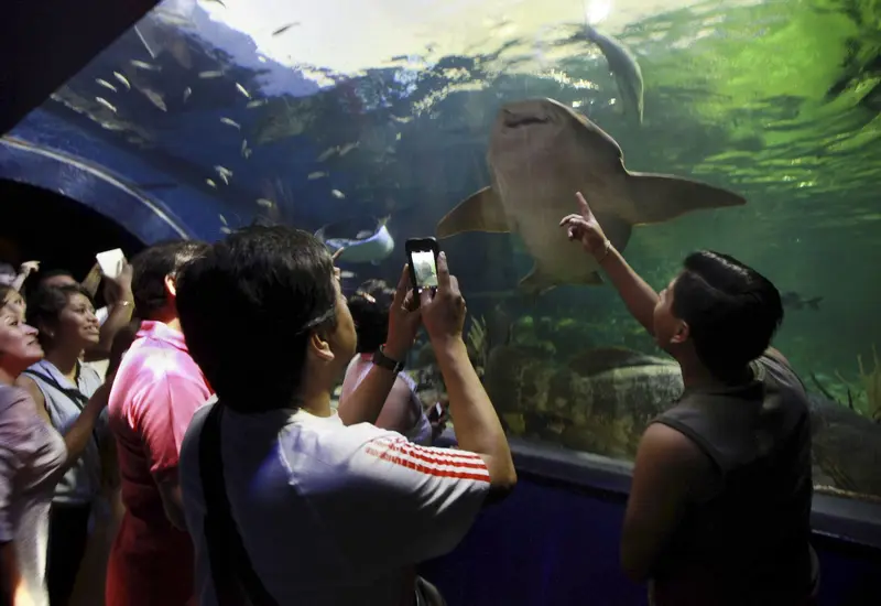 acuario_de_veracruz