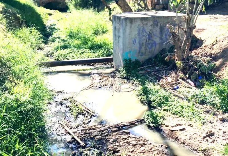 aguas_negras
