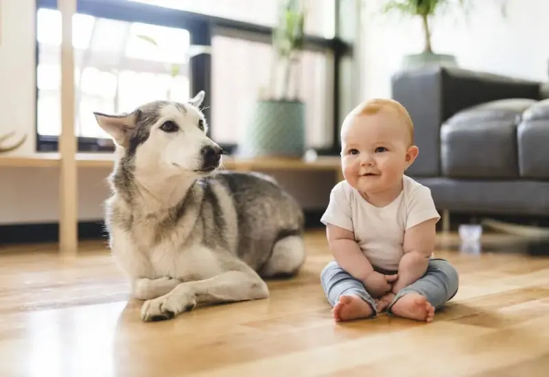 perro_y_bebe