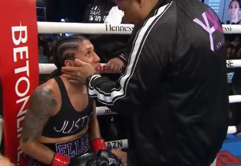 boxeadora 