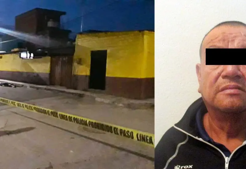 driminal_detendio