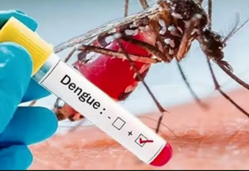 dengue-casos-oaxaca 