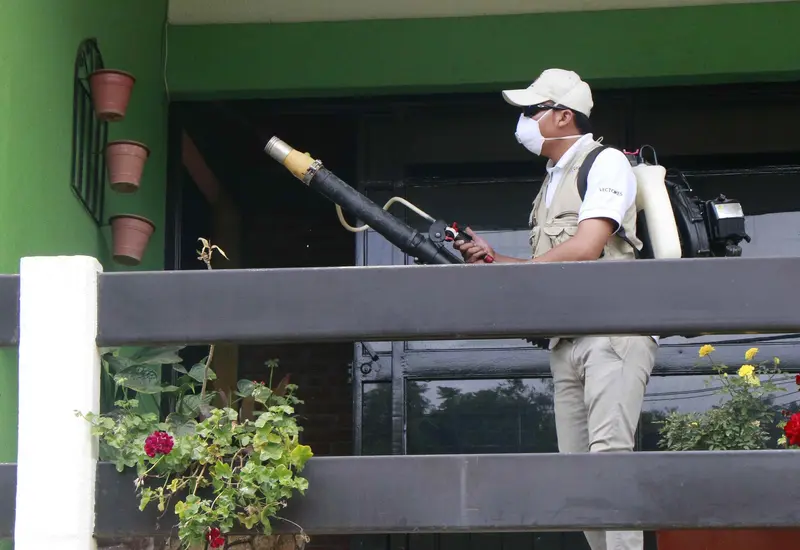 dengue-casos-oaxaca 