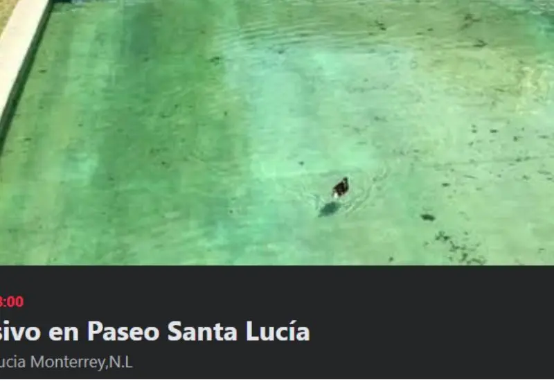 baño_masivo_en_monterrey