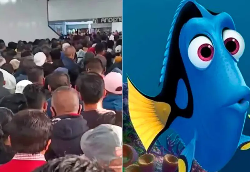 aglomeracion-mexico-dory