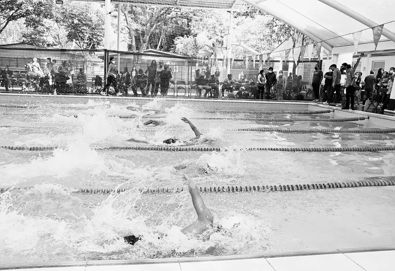 natacion-competencias