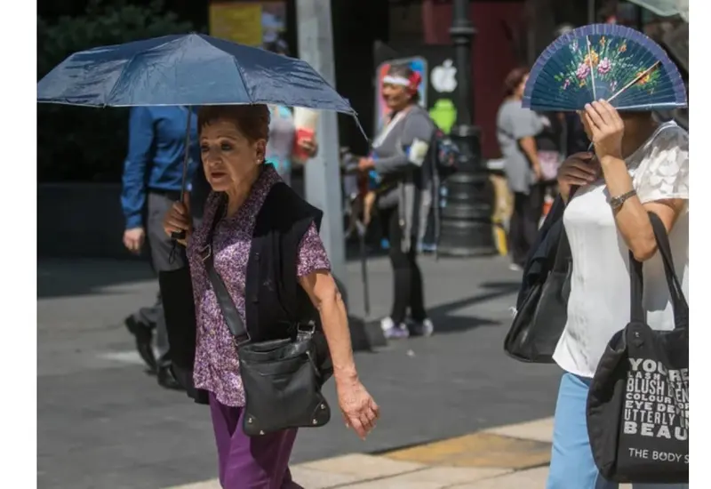 Ola de calor