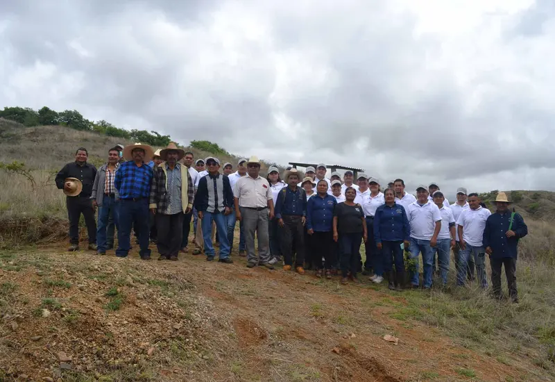 grupo-de-reforestacion 