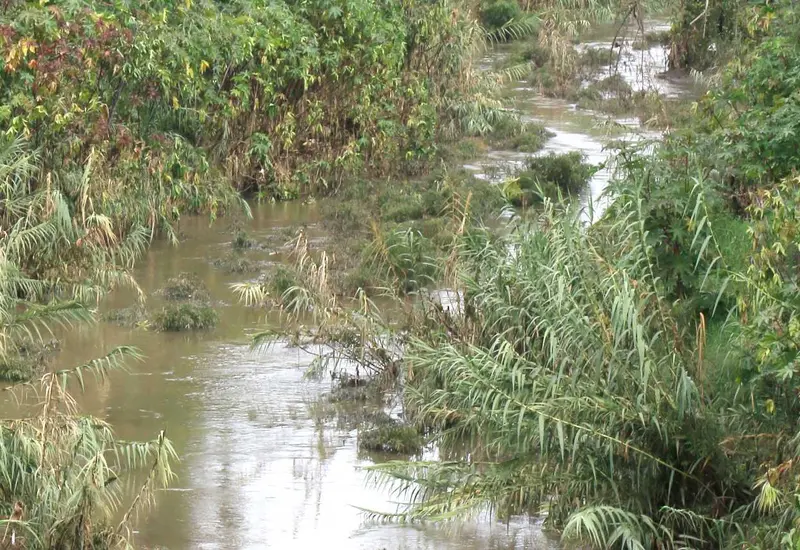 rio-atoyac