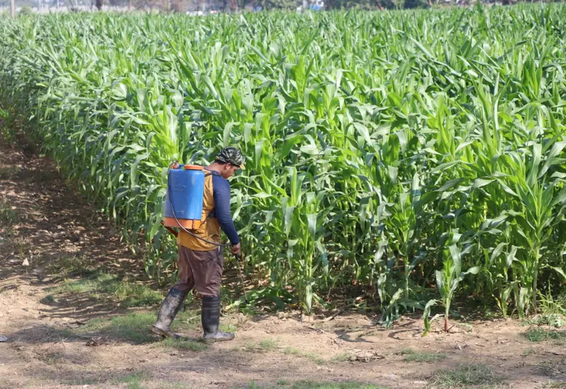agricultor-de-oaxaca