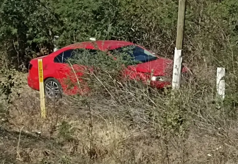 auto-entre-la-maleza