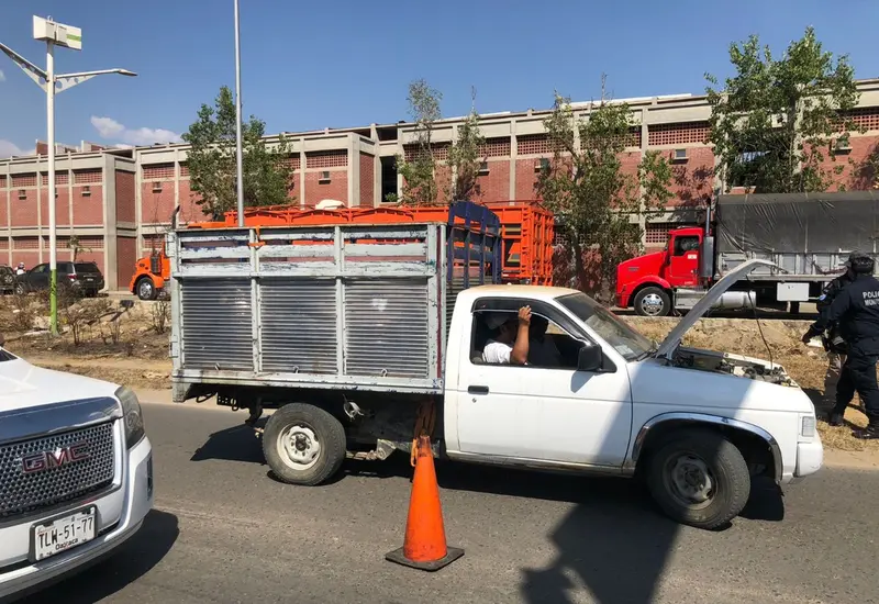 autos-clonados