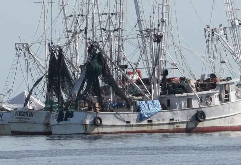 barco_de_pesca
