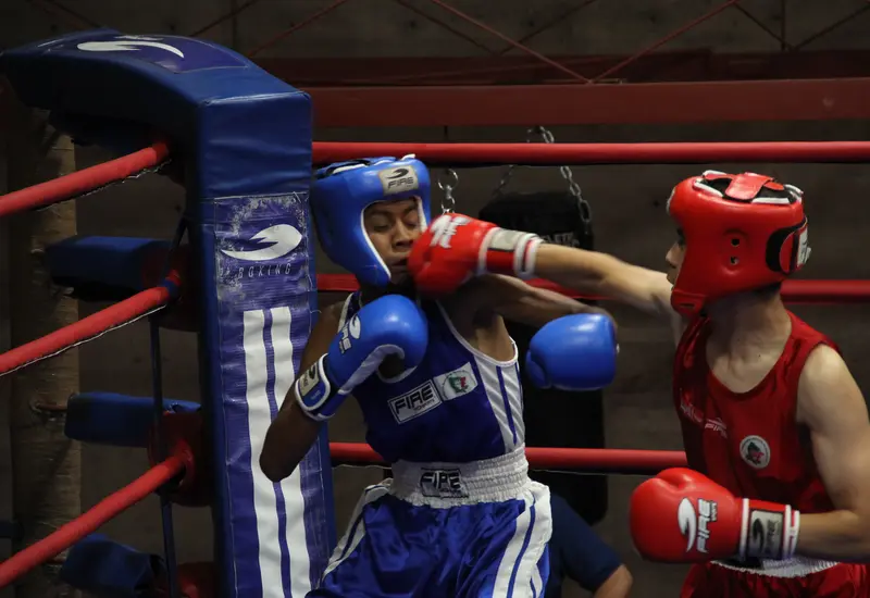 boxeadores-peleando