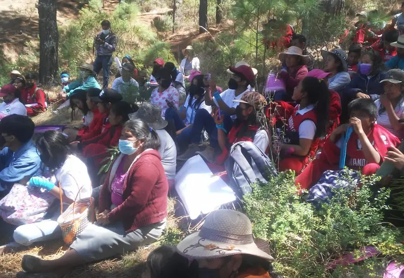 campo-agua 