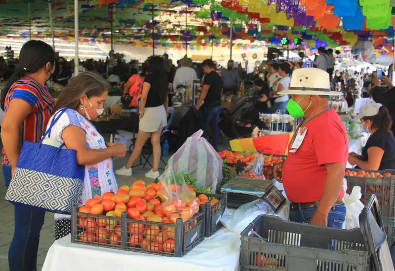 economia-comercio-oaxaca
