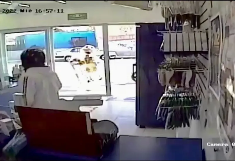 video-farmacia-camara