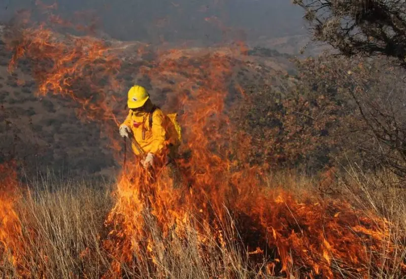 incendio-forestal